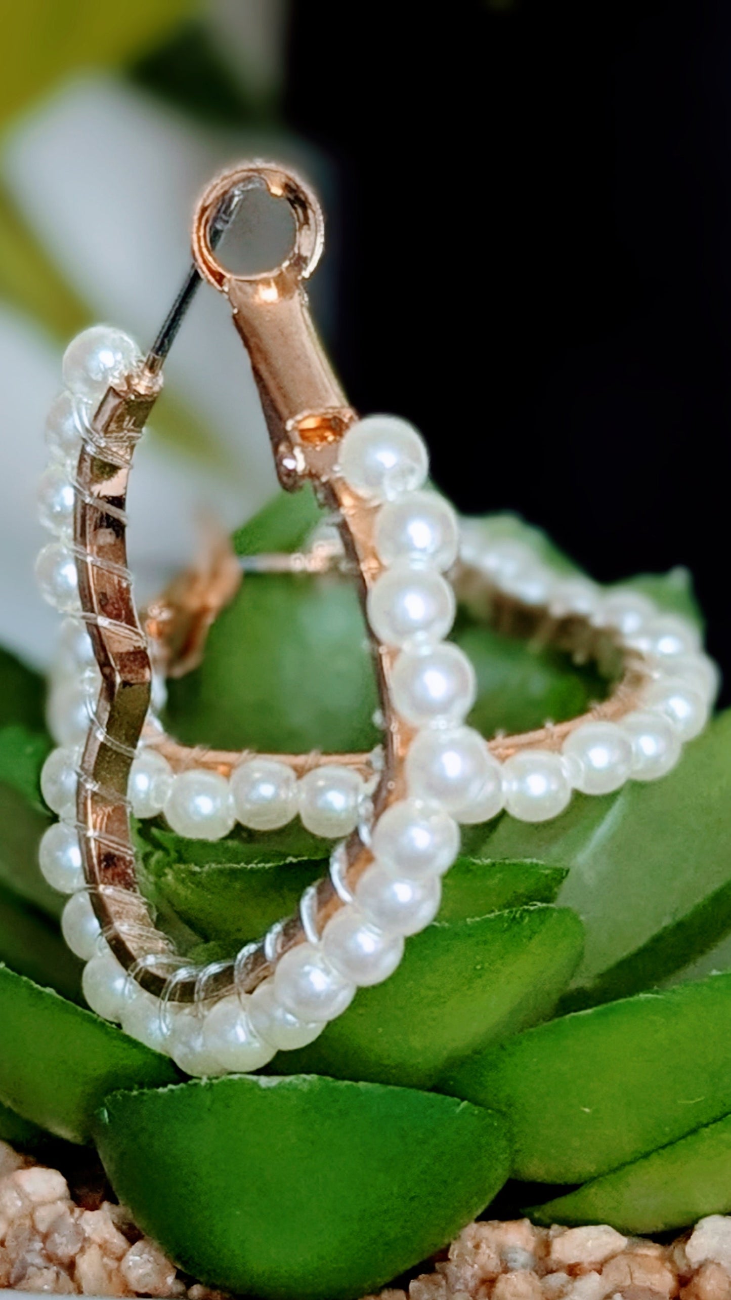 Pearlearrings with gold clasp on a green plant background