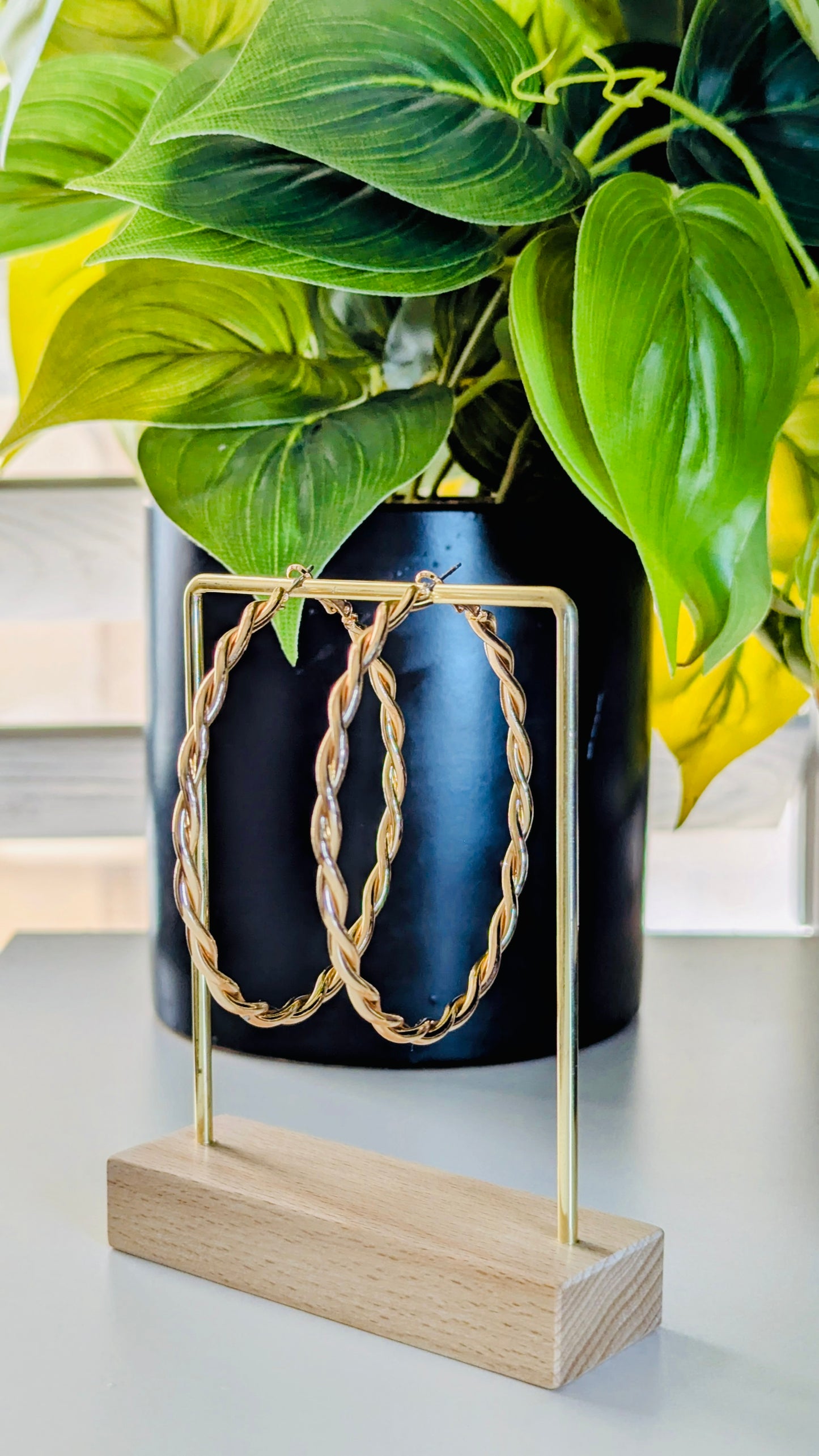 Gold hoop earrings on a wooden stand with a plant in the background