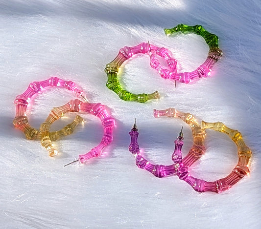 Tropical Spectrum Rainbow Earrings